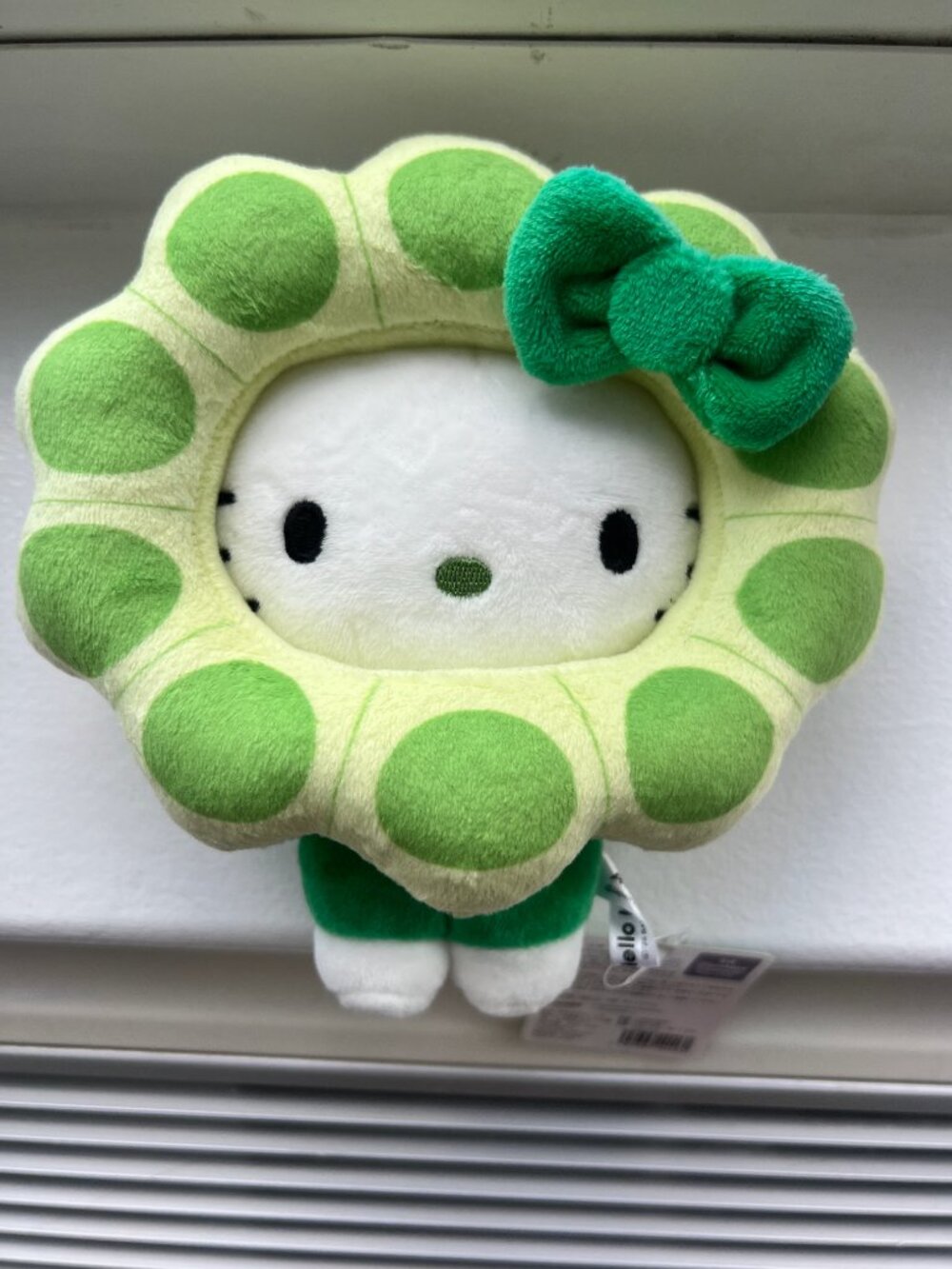 Hello Kitty EXPO 2025 Osaka Japan Exclusive Green Plush Sanrio Limited